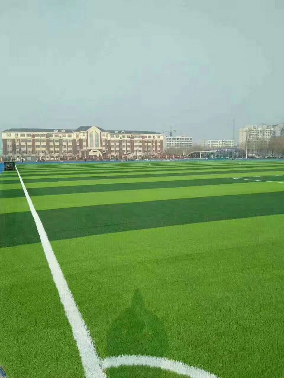 广安市epdm颗粒仿真草坪 - 排名